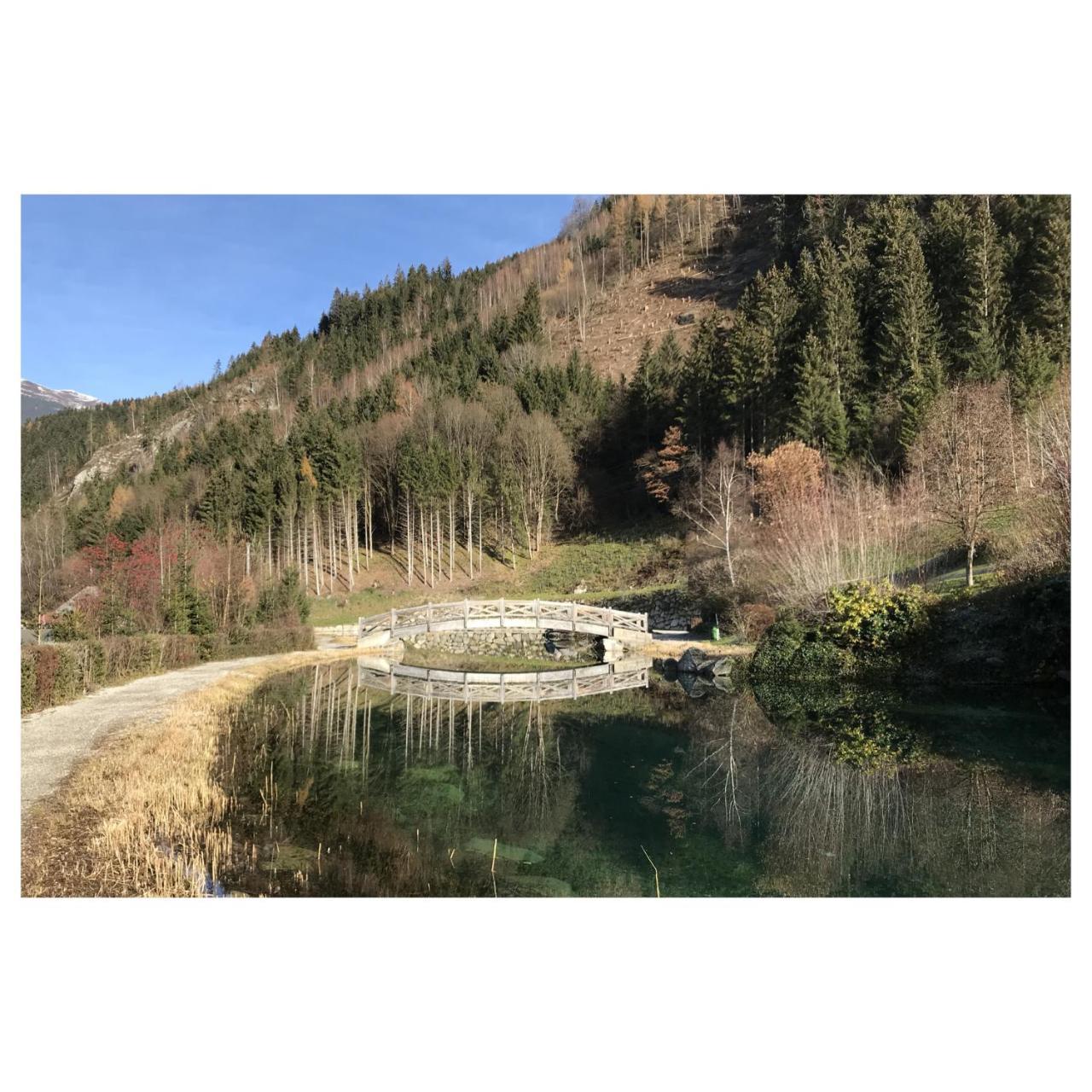 Mountainview Lodge - Chalet Im Zillertal Direkt Am 5 Sterne Campingplatz Aufenfeld Mit Hallenbad Und Sauna Aschau Im Zillertal エクステリア 写真